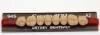 , Dentsply, Cosmo-HXL - 
